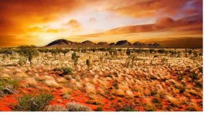 Northern Territories Landscape