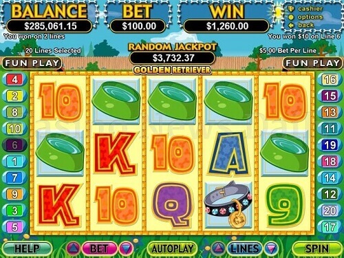 Golden Retriever Online Pokie