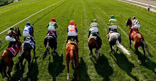 Horse Race Betting Australia