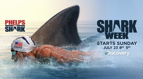 Phelps v shark casino news