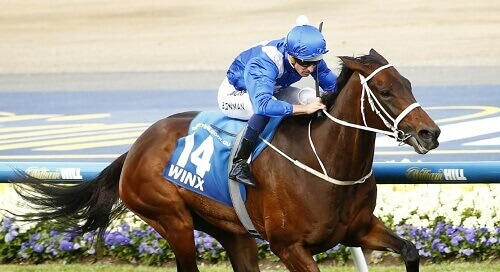 Winx Champion Horse Australia